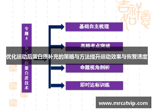 优化运动后蛋白质补充的策略与方法提升运动效果与恢复速度