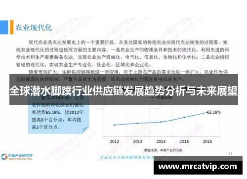 全球潜水脚蹼行业供应链发展趋势分析与未来展望