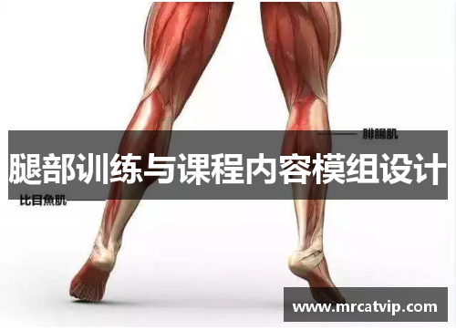 腿部训练与课程内容模组设计