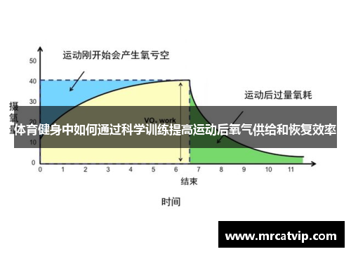 体育健身中如何通过科学训练提高运动后氧气供给和恢复效率