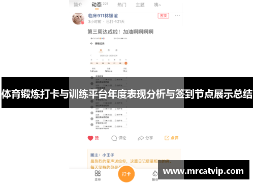 体育锻炼打卡与训练平台年度表现分析与签到节点展示总结